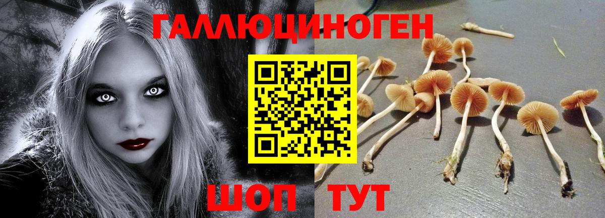 Галлюциногенные грибы мицелий  Вход с VPN  Азов 